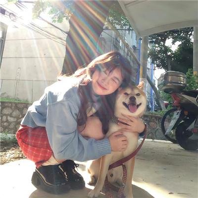 我靠摆摊买下一座岛